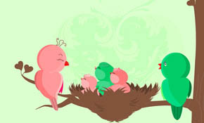 Baby birds